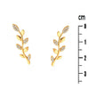 Boucles d'Oreilles May - Grimpantes Laurier Plaqué Or