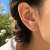 Puce d'oreille Soli - Soleil Argent Rhodié